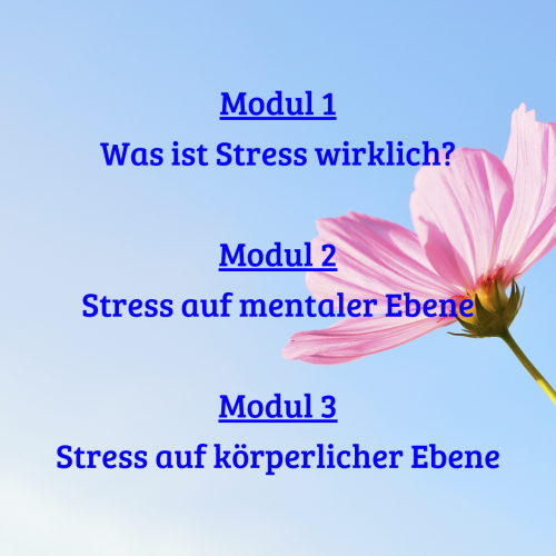 Coaching-Programm