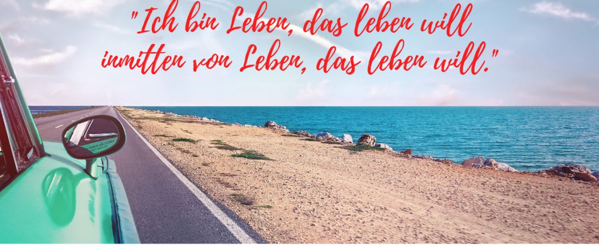 Ich bin Leben, das leben will inmitten von Leben, das leben will.